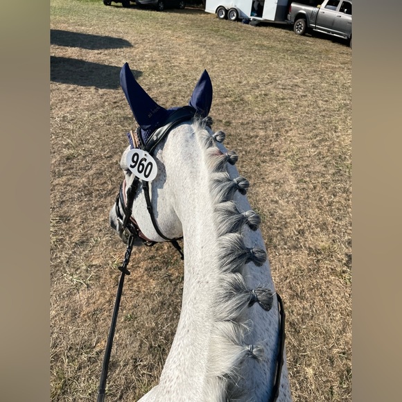 Meet your Posher, Jennifer - Picture 4 of 10